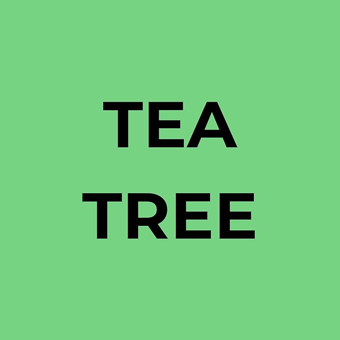 Soapbox Tea Tree Shampoo and Conditioner Set, Scalp Balancing with Tea Tree Oil, Jojoba Oil, Aloe and Shea Butter to Clean and Purify for All Hair Types, 1 Liter Each (Pack of 2)