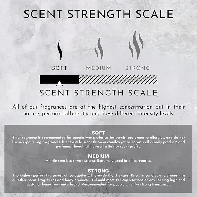 ENVIRONMENT Inspired by 5-Star Hotels WSTN Lotion, 300ml Luxury Scented Lotion (White Tea | Cedar | Aloe Vera) Bathroom Luxury, Men & Women High-End Body Lotion, Hand Cream, Dry Skin Treatment