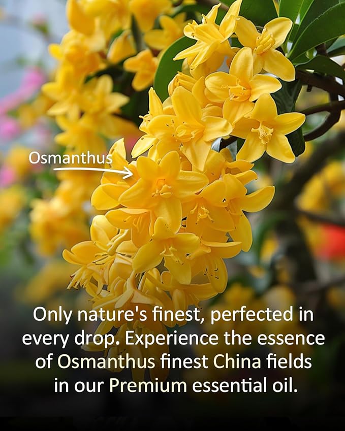 Pure Osmanthus Essential Oil, 100% Pure Natural Osmanthus Essential Oil, Premium Grade Essential Oils for Diffusers for Home, Skin, Care Massage, Soap Making, Aromatherapy, 4 Fl Oz | 120ml