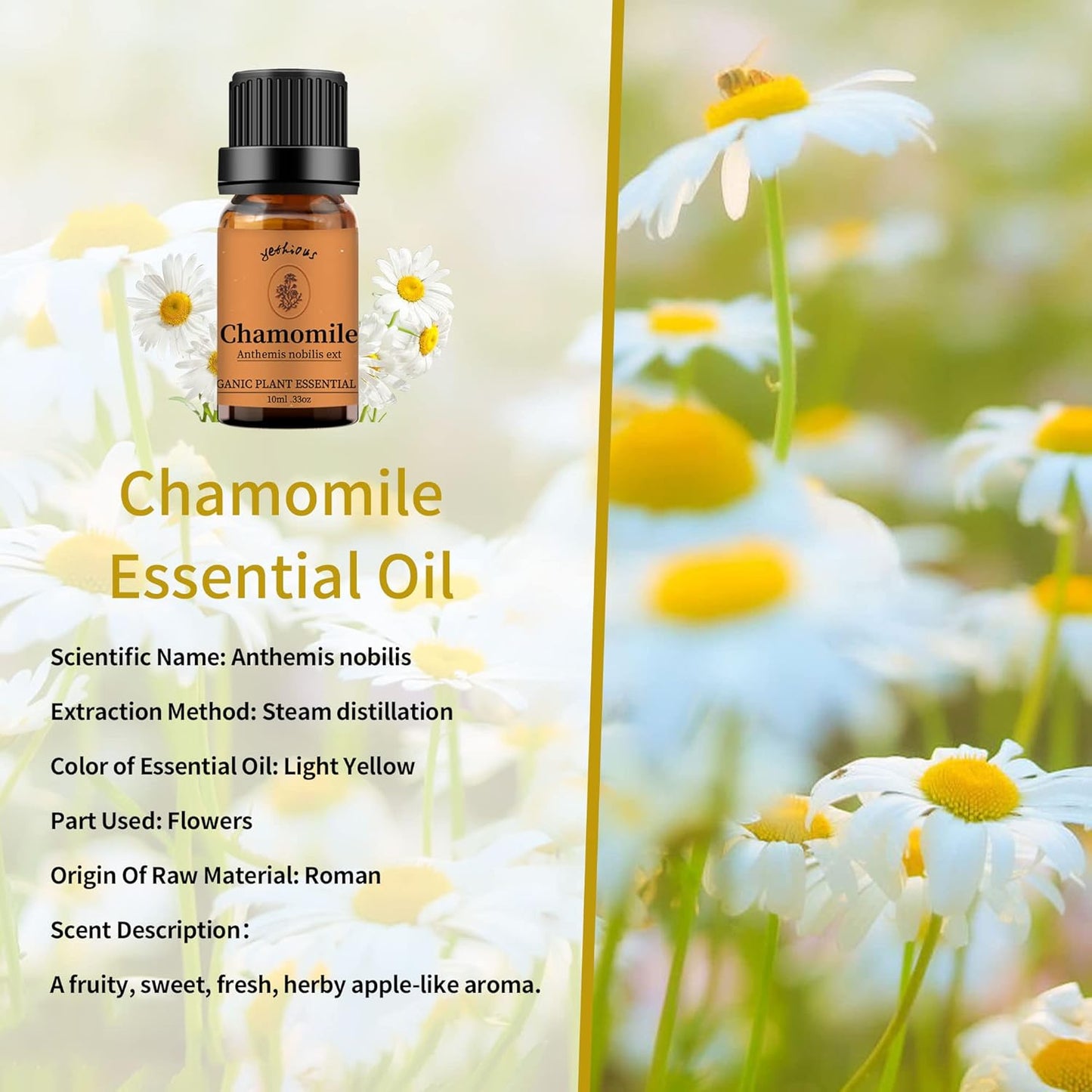 yethious Chamomile Sandalwood Essential Oil 100% Pure Organic Chamomile Essential Oil Set for Diffuser Aromatherapy Candle - 2 Pack 10ML