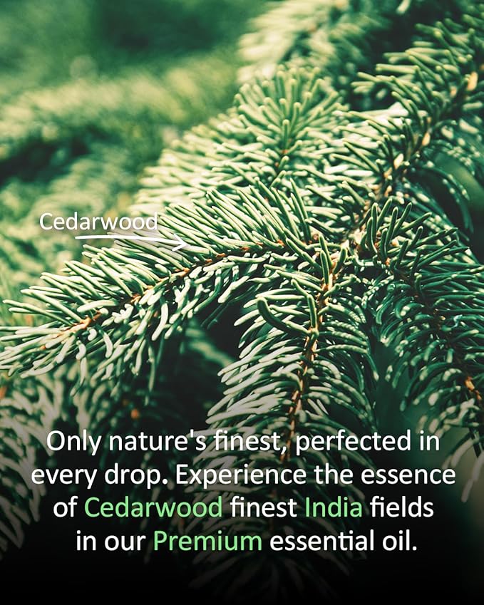 Pure Cedar Essential Oil, 100% Pure Natural Cedar Essential Oil, Premium Grade Essential Oils for Diffusers for Home, Skin, Care Massage, Soap Making, Aromatherapy, 4 Fl Oz | 120ml