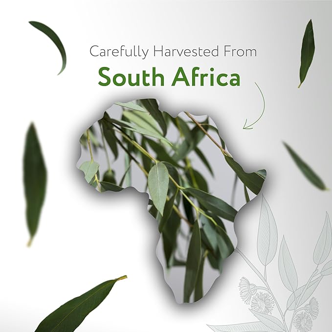 HBNO Organic Eucalyptus Radiata Essential Oil - 4 oz (120ml) - USDA Certified Organic Eucalyptus Radiata Essential Oil, Soap Making, DIY, Fragrances, Diffuser