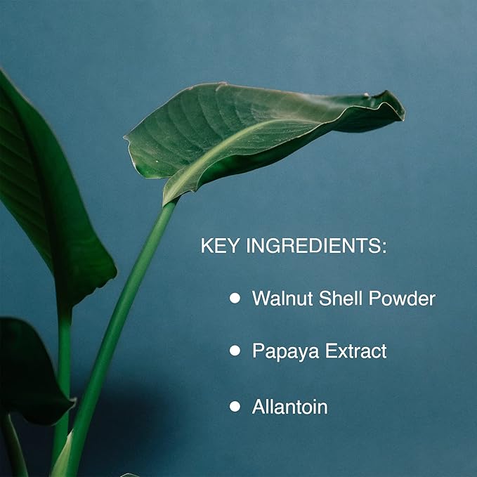 Pharmagel Enzyme Ex‑Cell™ | Gentle Papaya + Walnut Shell Facial Scrub – 6 oz | For Sensitive Skin & All Skin Types