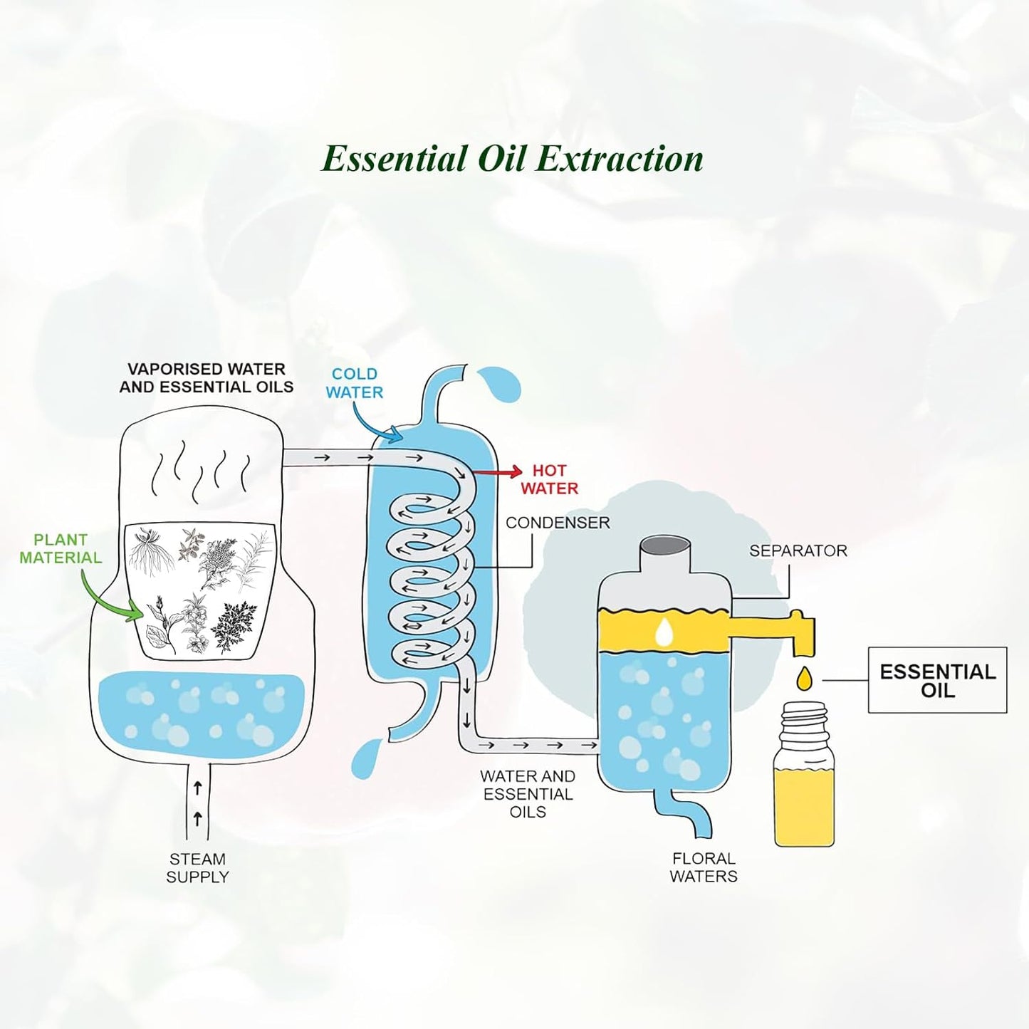 Apple Essential Oil Pure, Mumianhua Natural Therapeutic Grade Aromatherapy Apple Oil for Diffuser, Scented Candles, Car Air Soap, Hair,Skin, Spa, Massage, Yoga, Perfume 0.33 Fl Oz