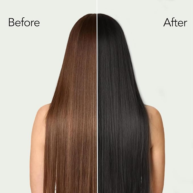 Black Hair Dye, Hair Dye Shampoo, Argan Oil Hair Dye for Men & Women, 3 in 1 Hair Dye Shampoo, Easy to Use, Shampoo Para Canas for Gray Hair Coverage 16.9 FlOz (Black)