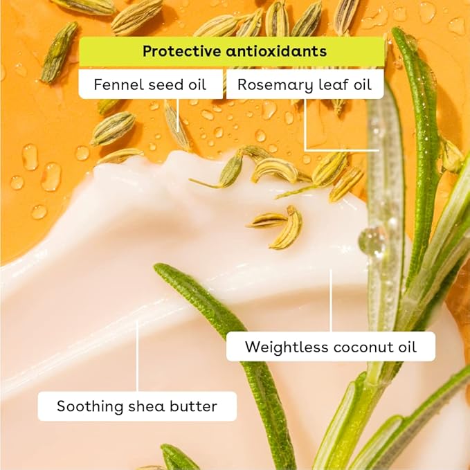 eos 100% Natural & Organic Lip Balm Sticks- Strawberry Sorbet, Vanilla Bean, Sweet Mint & Pomegranate Raspberry, Lip Care Products, 0.14 oz, 4-Pack