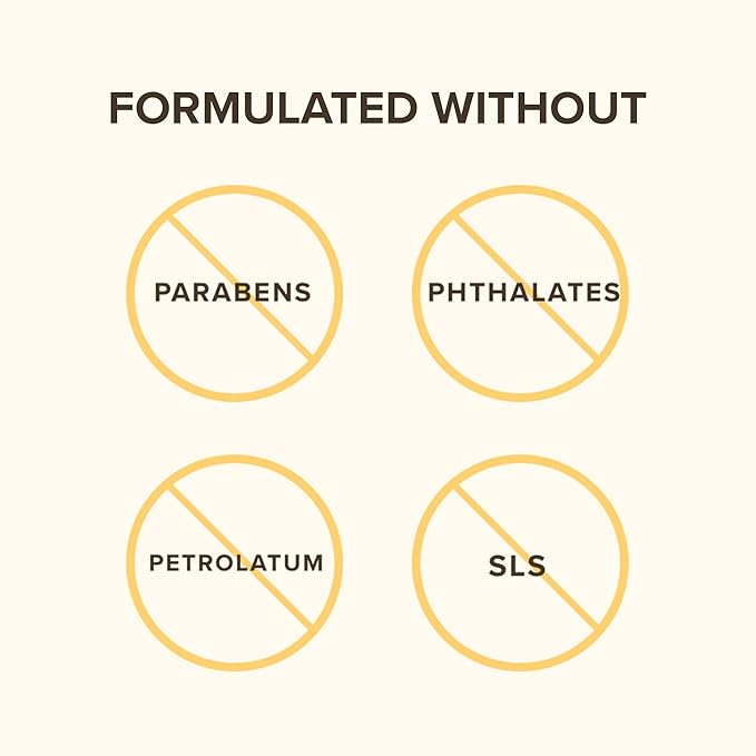 Burt's Bees Bee Mine Lip Balm Gift Set, Strawberry, Dragonfruit Lemon, Pomegranate and Watermelon, 4 Personalized Lip Balms, Pack May Vary