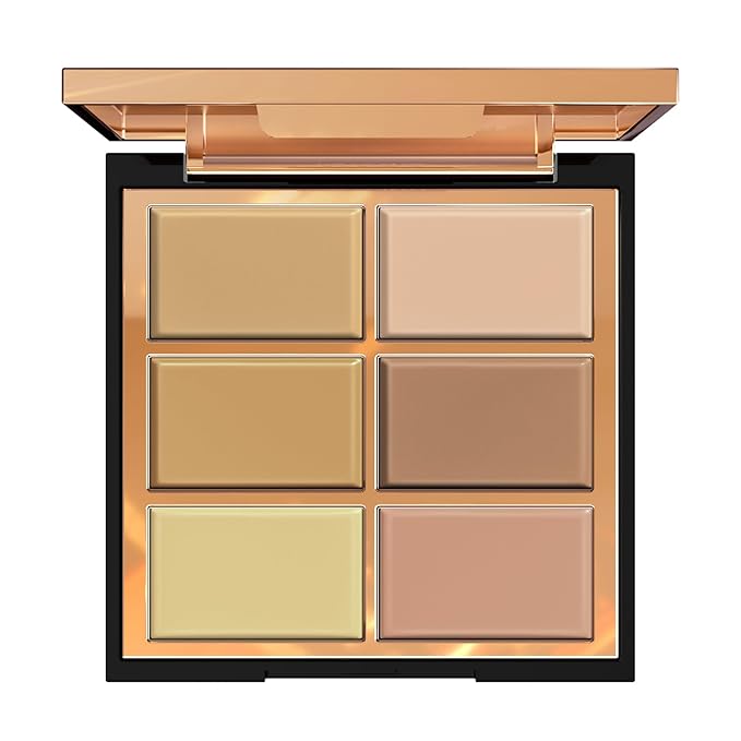FV 6 Colors Cream Concealer Palette, Full Coverage & Long Lasting Colors Corrector Palette for Dark Circles, Redness, Acne with Natural Finish Cream Foundation Palette, 01 Light Shade