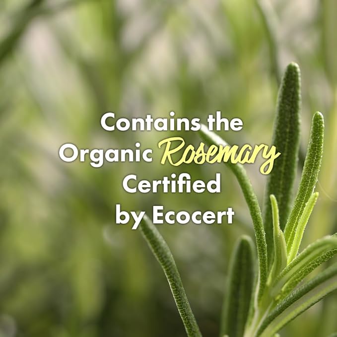 RATED GREEN Real Mary Cold Brew Rosemary Purifying Scalp Scaler with Sea Salt | Korean Deep Cleanse for Dry, Itchy, Flaky Scalp | Hypoallergenic Hair Care for Oily Scalp & Dandruff, 6.76 fl oz