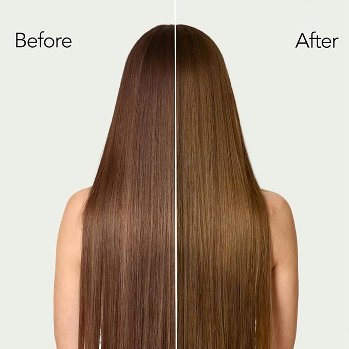 Chestnut Brown Hair Dye Shampoo with Argan Oil for Men & Women, 3 in 1 Semi-Permanent Formula, 16.9 Fl oz - Easy to Use, Covers Gray Hair