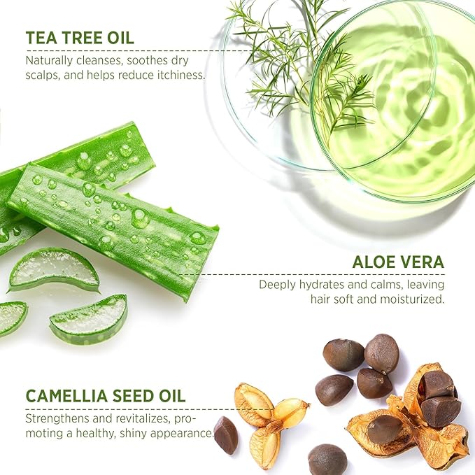 Roycederm Tea Tree Antifungal Shampoo and Conditioner: Complete Scalp Care Solution for Folliculitis, Dry, Itchy, and Flaky Scalp - Infused with Tea Tree Oil, Paraben & Sulfate Free