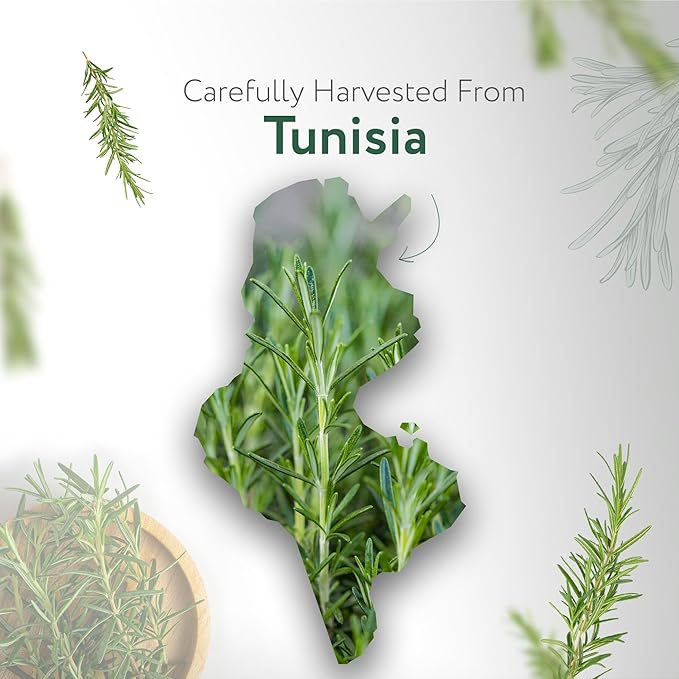 HBNO California Bottled Organic Rosemary Essential Oil 1 fl oz (30ml) - USDA Certified Organic Rosemary Essential Oil for Aromatherapy, Soap Making, DIY, Fragrances, Diffuser