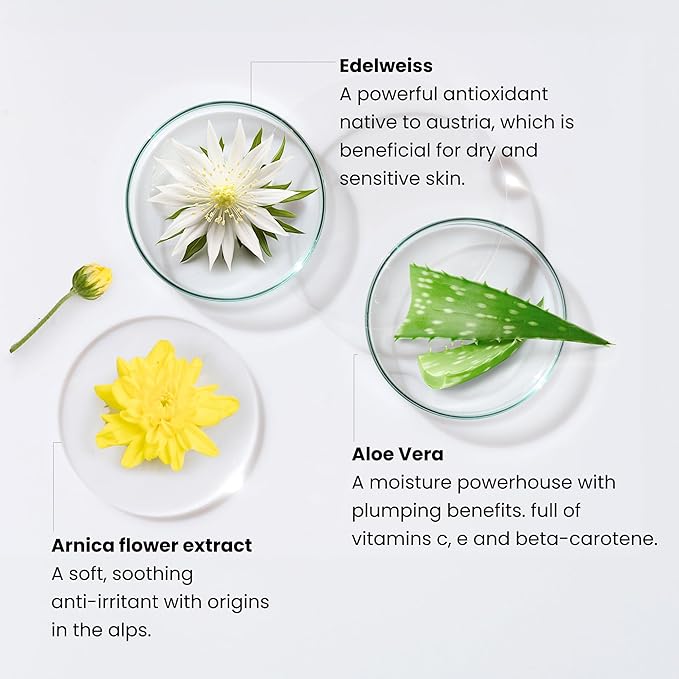 Monika Blunder Beauty - Blunder Cover Foundation Concealer - Shade: 7.5 - Sieben.5 - Deep, Warm Golden Undertones - Clean Beauty, All-In-One, Cruelty-Free, Vegan - 0.62 oz