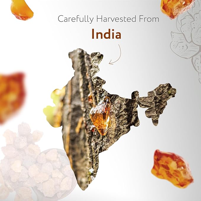 HBNO California Bottled Frankincense Essential Oil (Serrata) 4 fl oz (120ml) - Natural & Premium Grade Frankincense Oil Essential Oil,