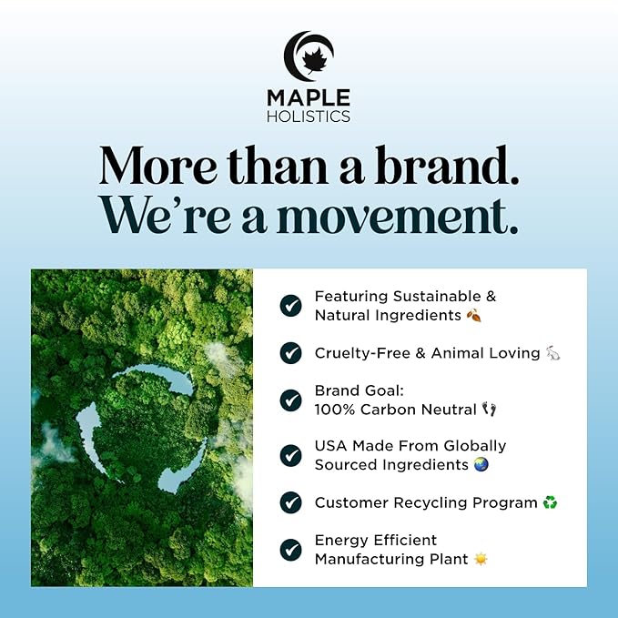 Tea Tree Mint Shampoo and Conditioner - Tea Tree Rosemary Mint Shampoo and Conditioner Set Sulfate Free for Daily Clarifying and Dry Scalp Care - Paraben and Sulfate Free Shampoo and Conditioner 16oz