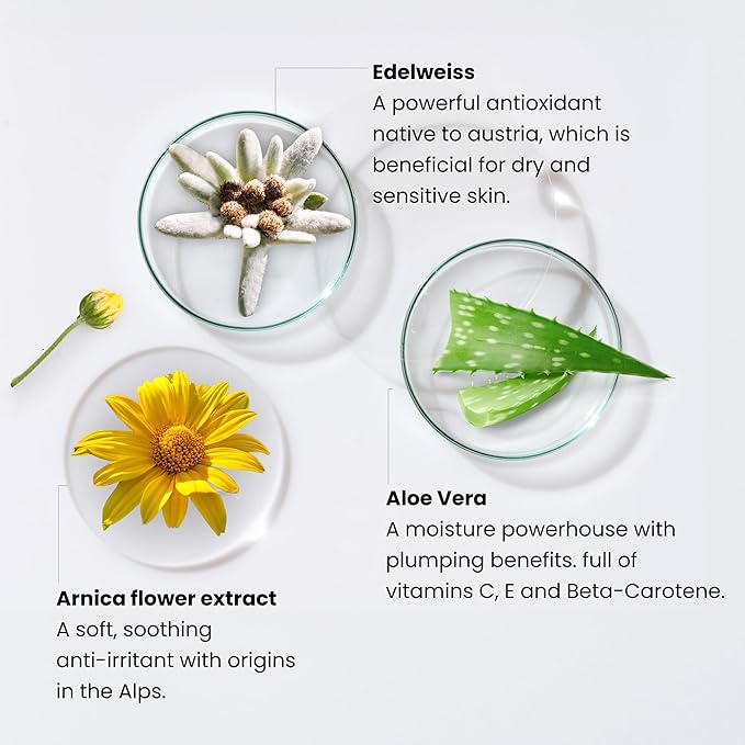 Monika Blunder Beauty - Blunder Cover Foundation/Concealer - Shade: 2 - Zwei - Fair, Soft Cool Pink Undertones - Clean Beauty, All-in-One, Cruelty-Free, Vegan - (2 - Zwei) - 0.62 oz