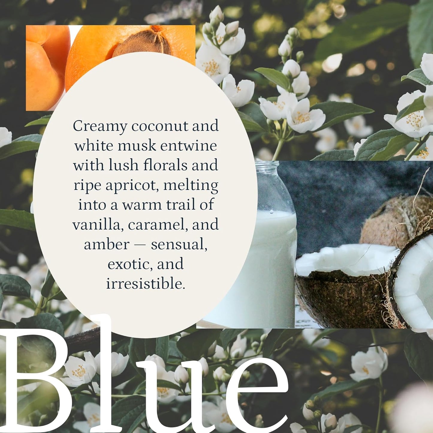 PuroSentido Blue Aroma Oil (120 ml) - Luxury Essential & Fragrance Oil for Diffusers and Humidifiers, Apricot, Coconut Milk & Vanilla Home & Hotel Scent