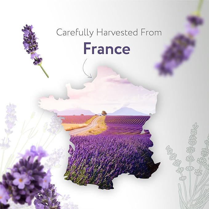 HBNO California Bottled Dutch Lavender Essential Oil 4 fl oz (120ml) - Natural Lavender Oil for Skin, Perfect for Cleaning, Aromatherapy, DIY & Diffuser