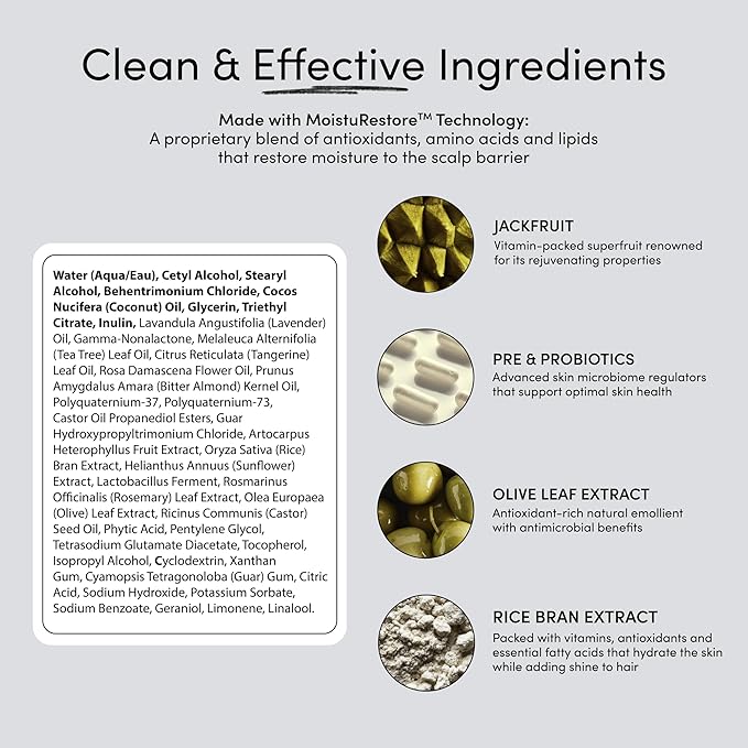 Jupiter, Moisturizing Conditioner for Women and Men, Softens, Detangles & Strengthens Hair with Nourishing Formula for All Hair Types, Color Safe, Sulfate-Free, Natural Fragrance, Vegan, Paraben-Free