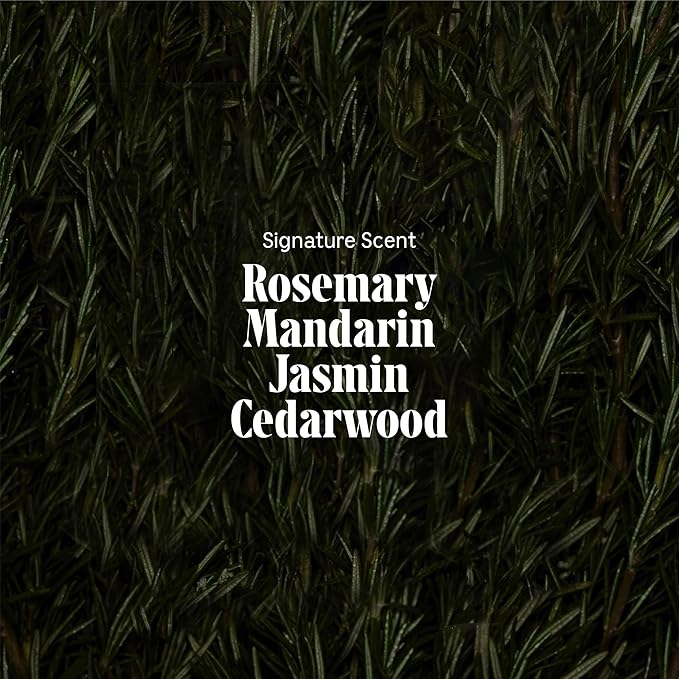 Nécessaire Rosemary Hair Duo - Rosemary Shampoo and Conditioner for Women + Men. Rosemary Oil + Proteins For Stronger Hair. Good for All Hair Types/Textures. 250 ml / 8.4 fl oz