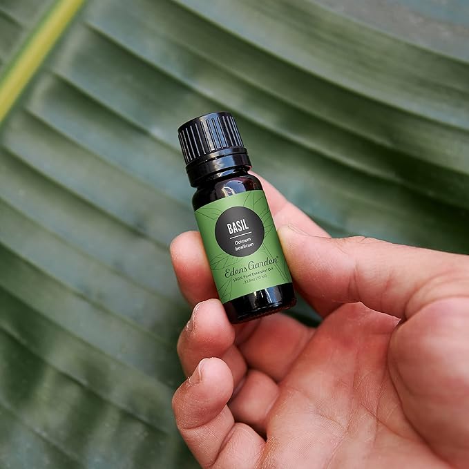 Edens Garden Basil Essential Oil- 100% Pure Premium Grade, Undiluted, Natural, Therapeutic, Aromatherapy, The Best for Diffuser, Skin, Candle, Laundry 10 ml (.33 fl oz)