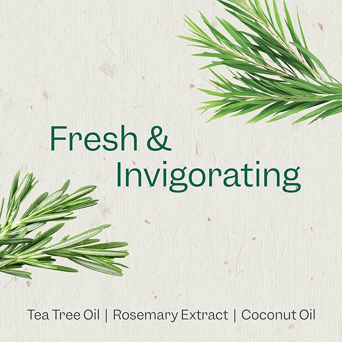 Renpure Tea Tree & Rosemary Scalp Serum, Plant-Based - Refreshing & Rebalancing - For Moisturized, Soft Hair - For Oily/Normal Hair- Tea Tree Leaf Oil, Rosemary Leaf Extract - 4 Fl Oz