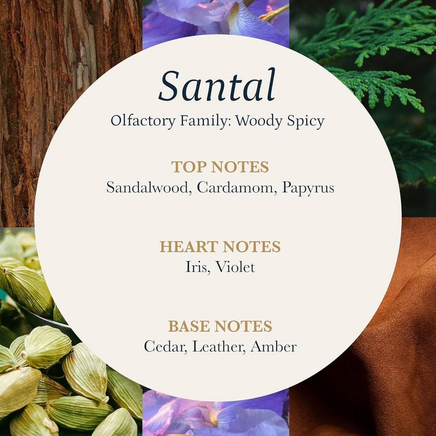 PuroSentido Santal Aroma Oil (10 ml) - Luxury Essential & Fragrance Oil for Diffusers and Humidifiers, Sandalwood, Violet & Amber Home & Hotel Scent
