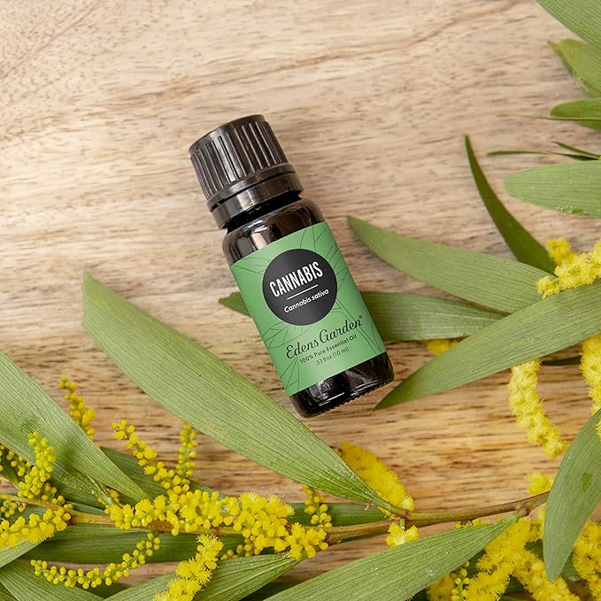 Edens Garden Cannabis Essential Oil- 100% Pure Premium Grade, Undiluted, Natural, Therapeutic, Aromatherapy, The Best for Diffuser, Skin, Candle, Humidifiers 30 ml (1 fl oz)